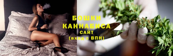 дмт Пестово