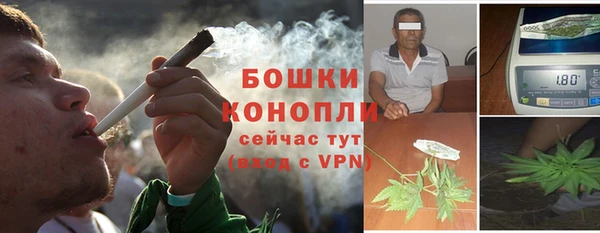 дмт Пестово