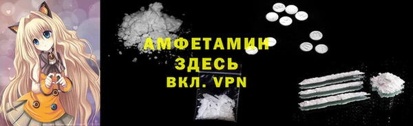 дмт Пестово