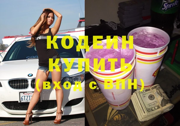 дмт Пестово