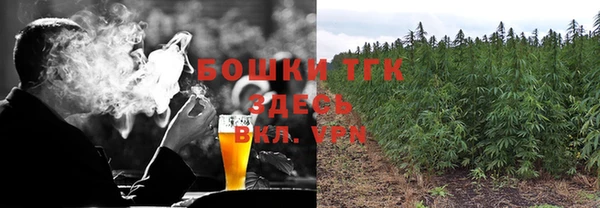 дмт Пестово
