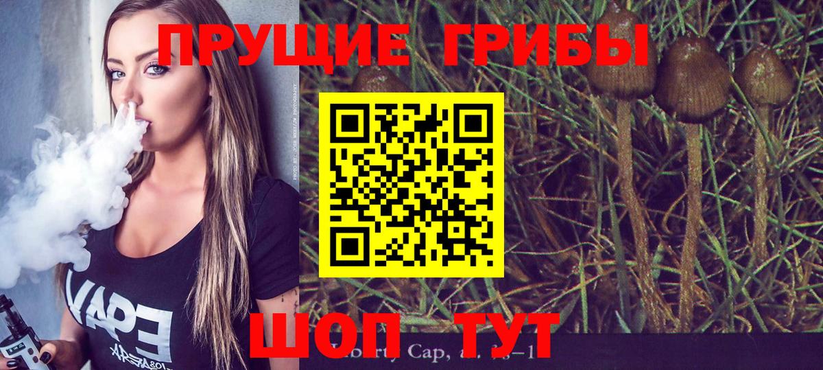 Псилоцибиновые грибы ЛСД  Азов  Псилоцибиновые грибы Psilocybine cubensis 