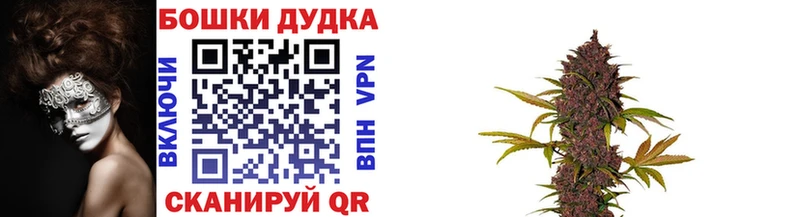 Конопля Bruce Banner Азов